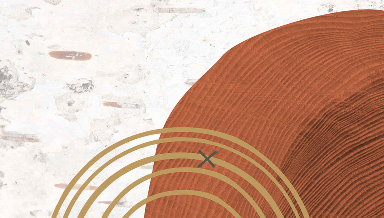 Cover of the “Indigenous Action Plan 2025–2030” with abstract designs in earthy tones on a textured background.