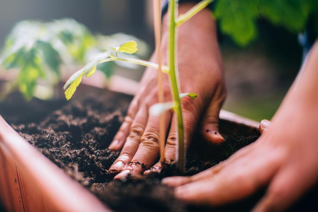 2025 Summer Institute on Sustainable Health Systems