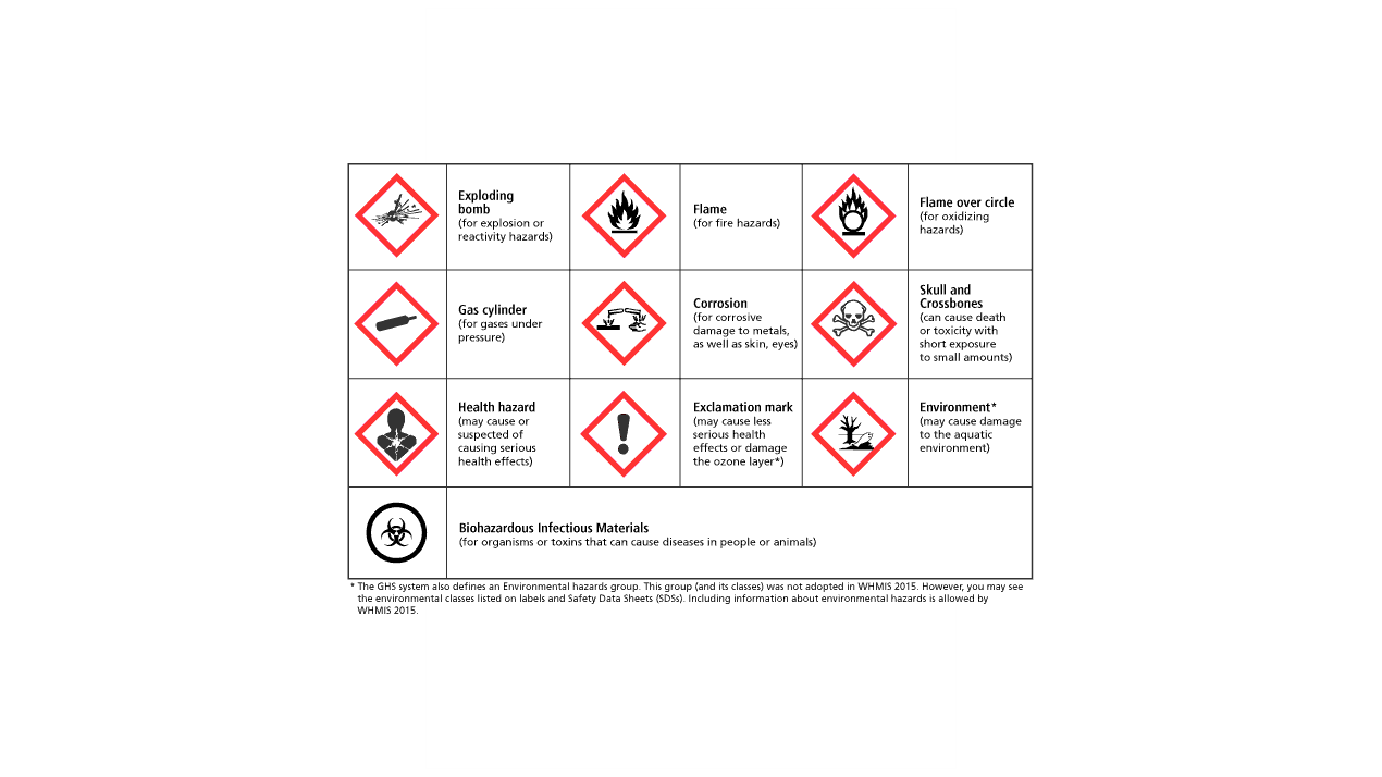 health hazard pictogram
