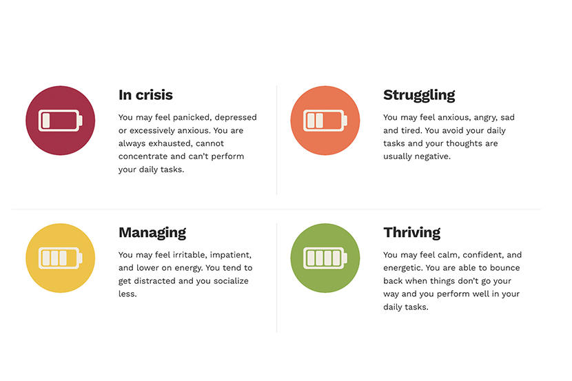 Wellness website