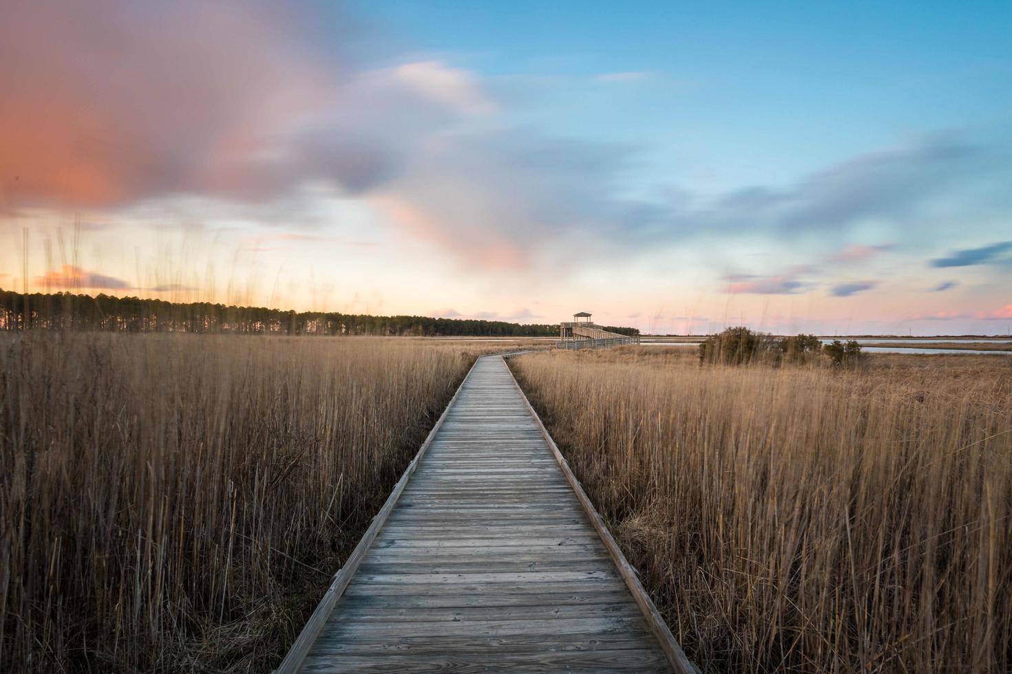 Wetland with a wooden boardwalk