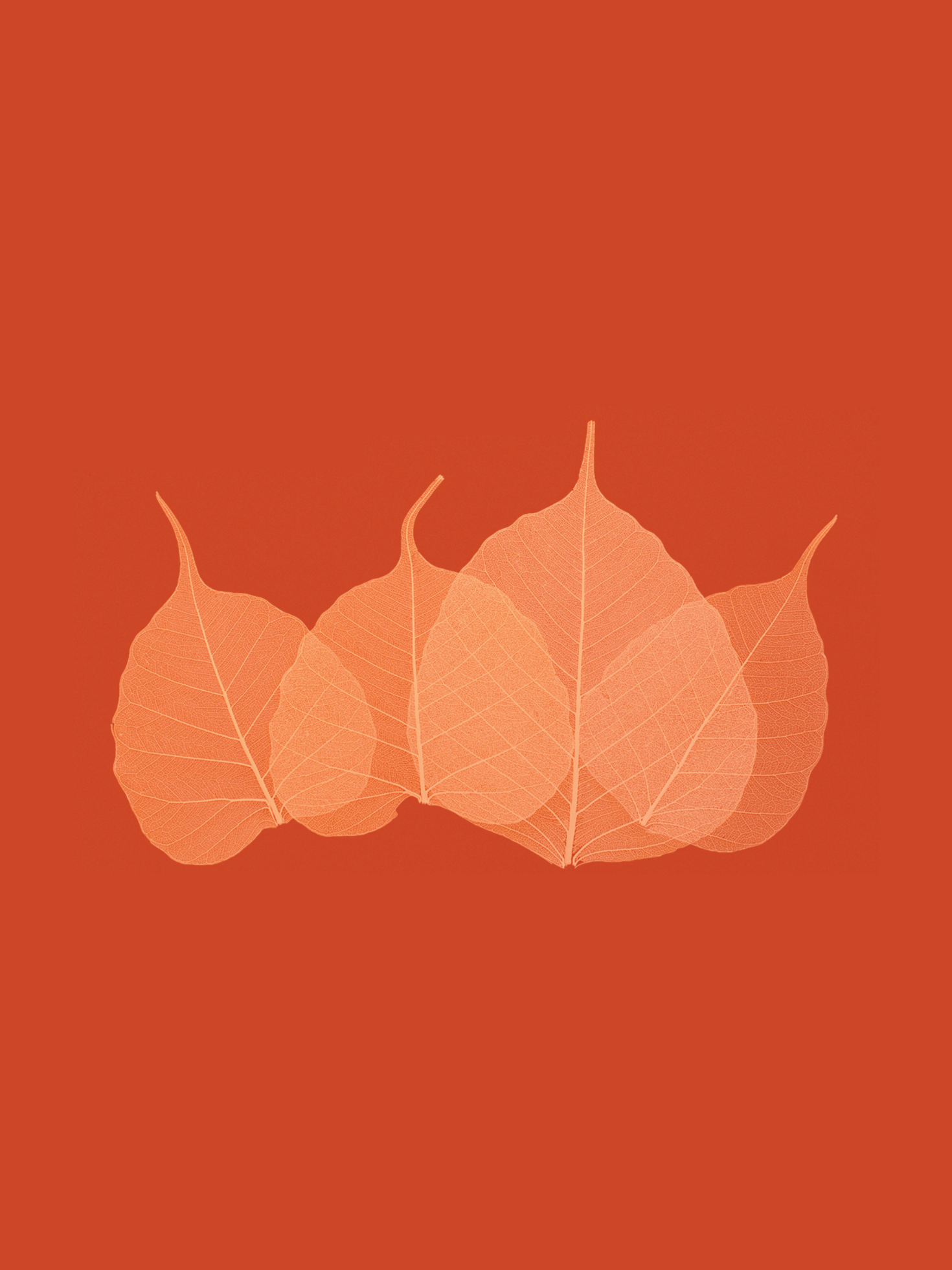 Abstract leaves