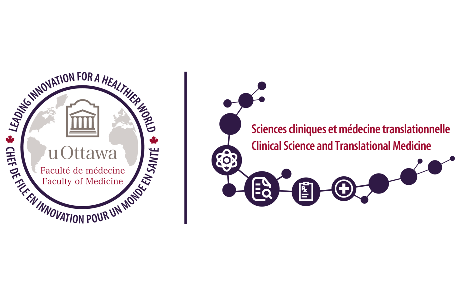 logo with text Clinical Science and Translational Medicine program
