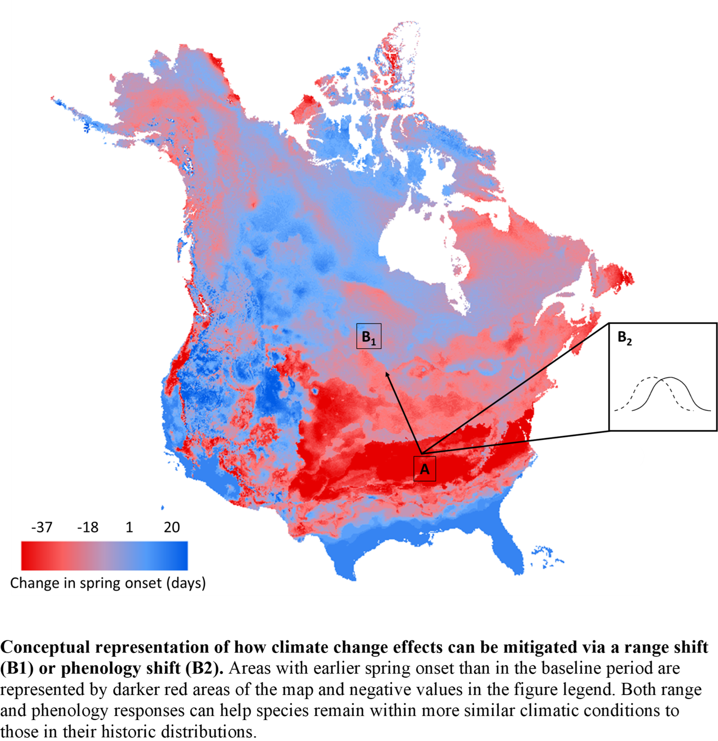 Spring Forward: Changing Climate’s Early Winter Wakeup Call Is A Buzz ...