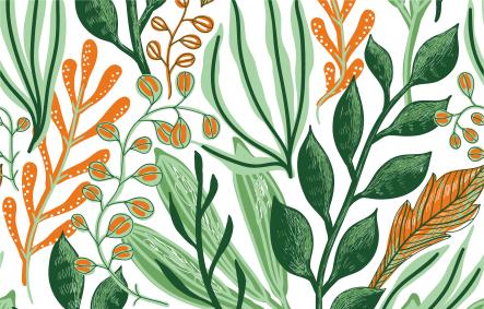 Plants