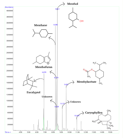 The SPME chromatography peppermint