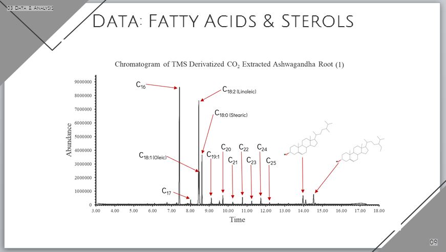 Chromatographic Results