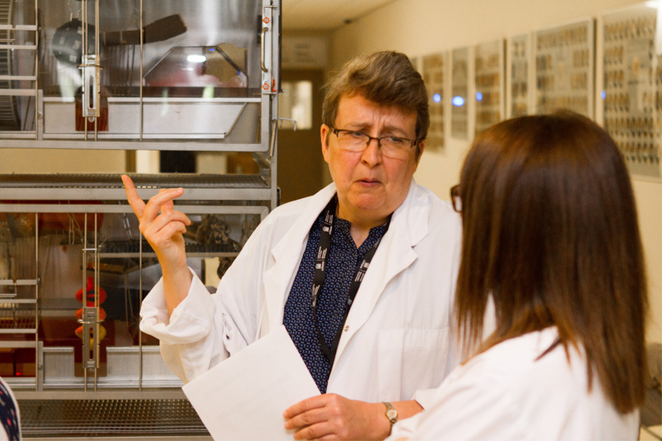 Dr. Marie Bédard describes the high level of animal care provided at the Univeristy of Ottawa to three Doors Open Ottawa visitors.