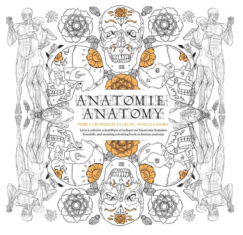 Photo of the first volume of the Anatomy Colouring Book, Muscles and Bones.