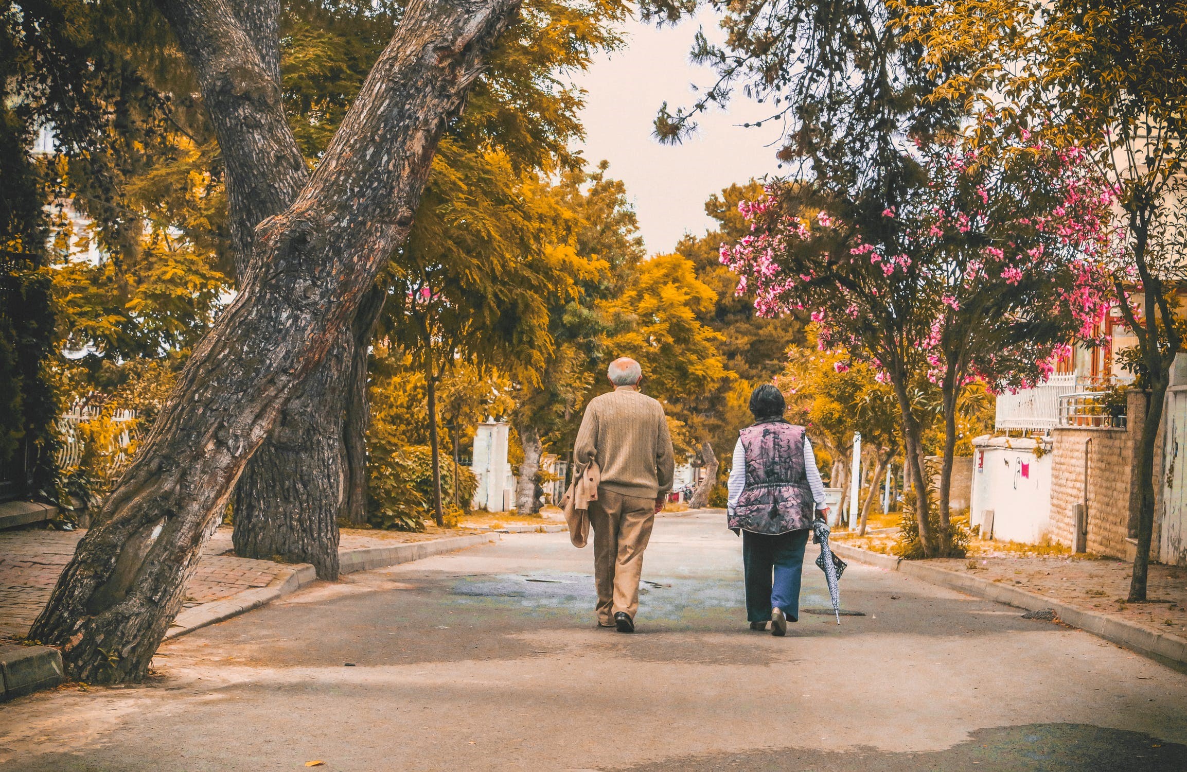 elderly couple walking through trees