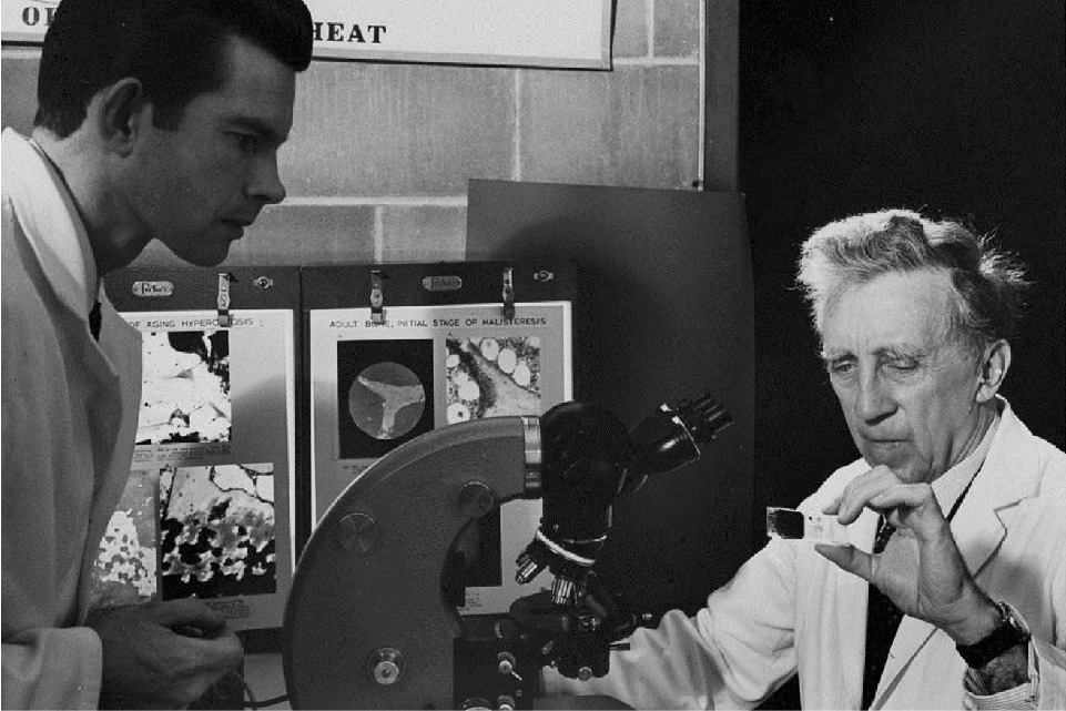 Dr. Fedor Bohatirchuk studies slides of ageing bones, while laboratory technician Martin Fokkena looks on.