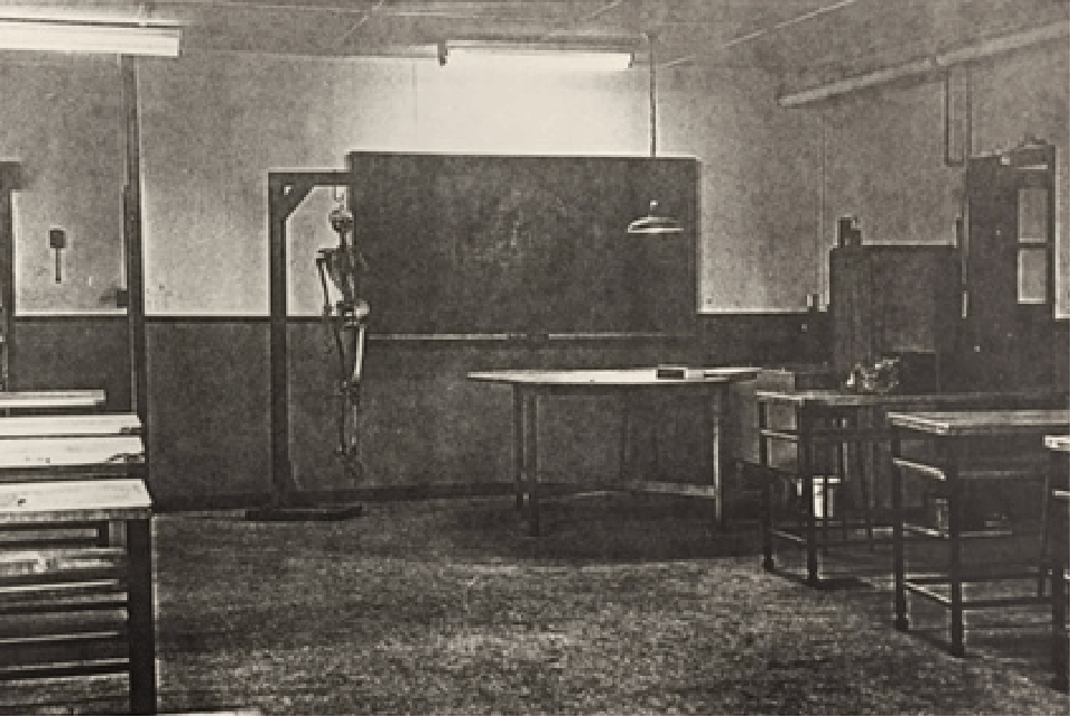 Two rows of tables stand in a large room. At the front of the room, a human skeleton hangs on a frame in front of a blackboard.