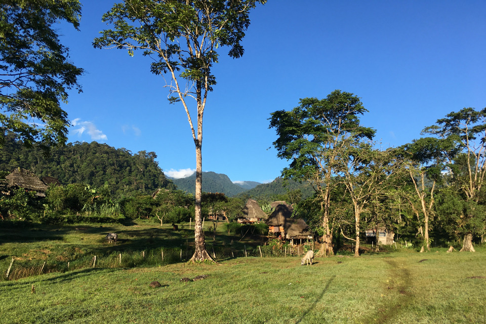 Alexandra Beaudry-Richard, an MD/PhD student at the University of Ottawa, visited Panama as a part of her global health experience in the summer of 2017.
