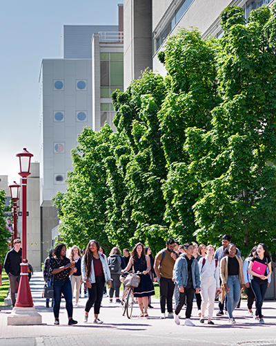 Admission and Programs viewbook